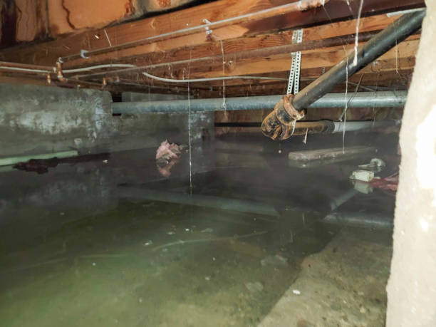 Best Water damage restoration near me  in Liberty, PA