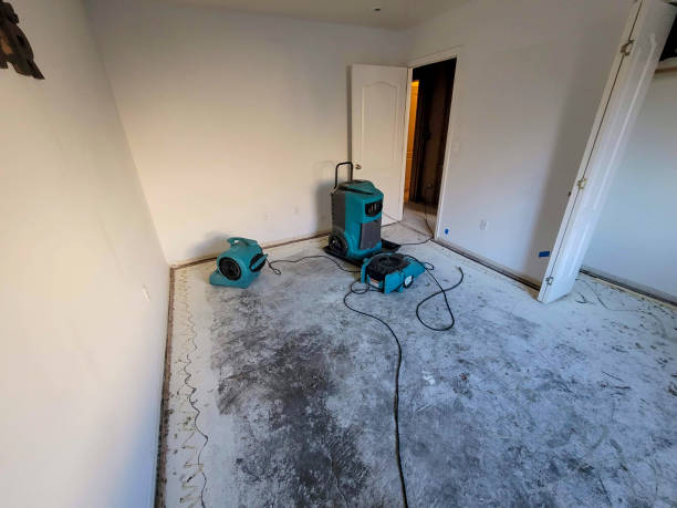 Best Water damage repair service  in Liberty, PA