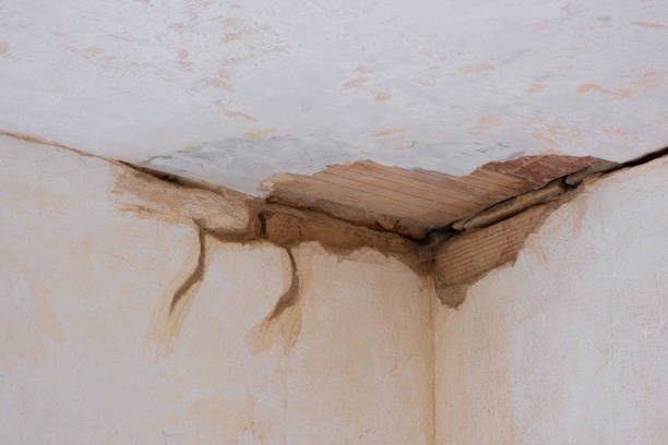 Best Flooded house restoration  in Liberty, PA