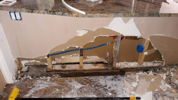 Best Water damage cleanup near me  in Liberty, PA