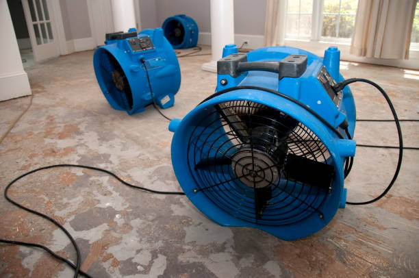 Best Water damage restoration experts  in Liberty, PA