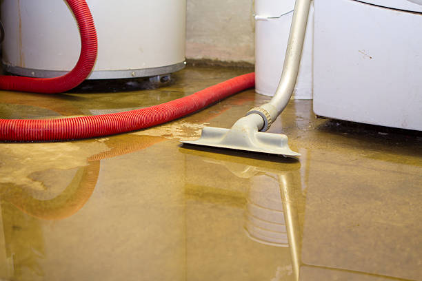 Best Ceiling water damage repair  in Liberty, PA