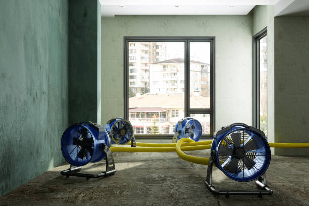 Best Sewage cleanup and water damage restoration  in Liberty, PA