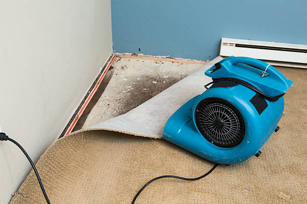 Liberty, PA Water damage restoration Pros